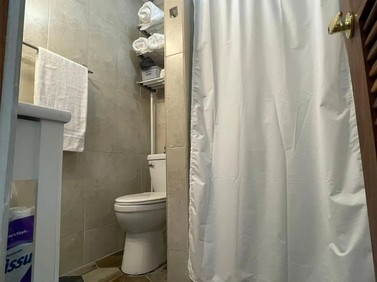 Ricomar Beach Front Studio San Juan Appartement